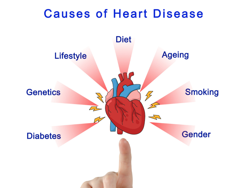 Differences Between Heart Attack and Stroke