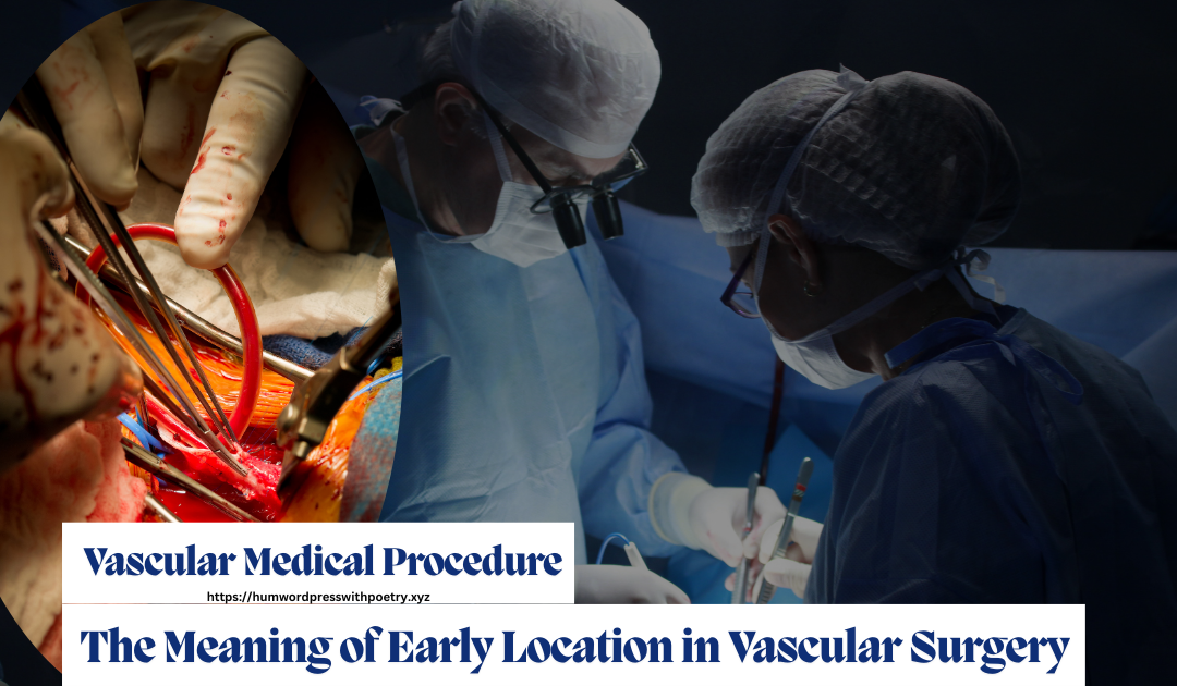 Vascular Medical Procedure