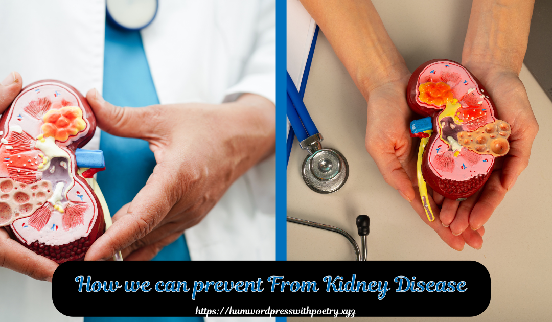 How we can prevent From Kidney Disease