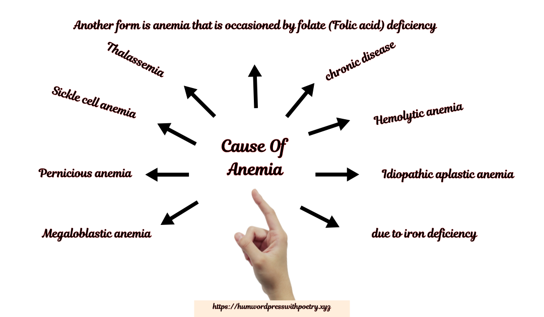 Anemia Symptoms and Causes