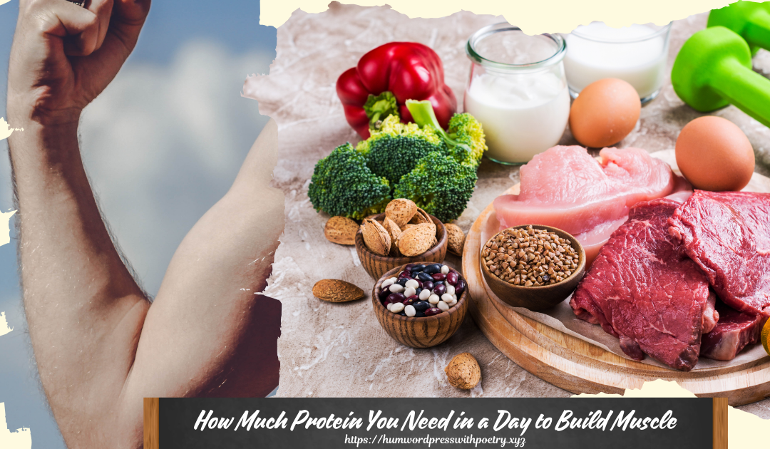 How Much Protein You Need in a Day to Build Muscle